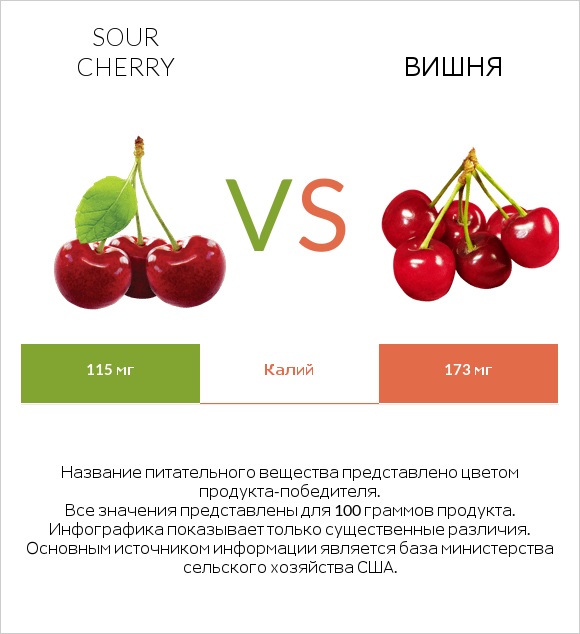 Sour cherry vs Вишня infographic