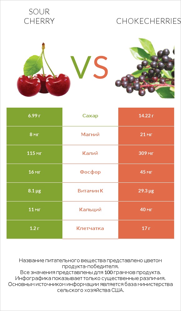 Sour cherry vs Chokecherries infographic