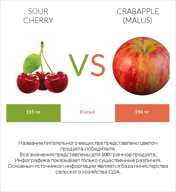 Sour cherry vs Crabapple (Malus) infographic