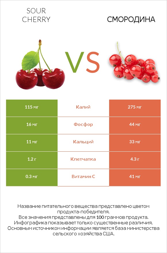 Sour cherry vs Смородина infographic