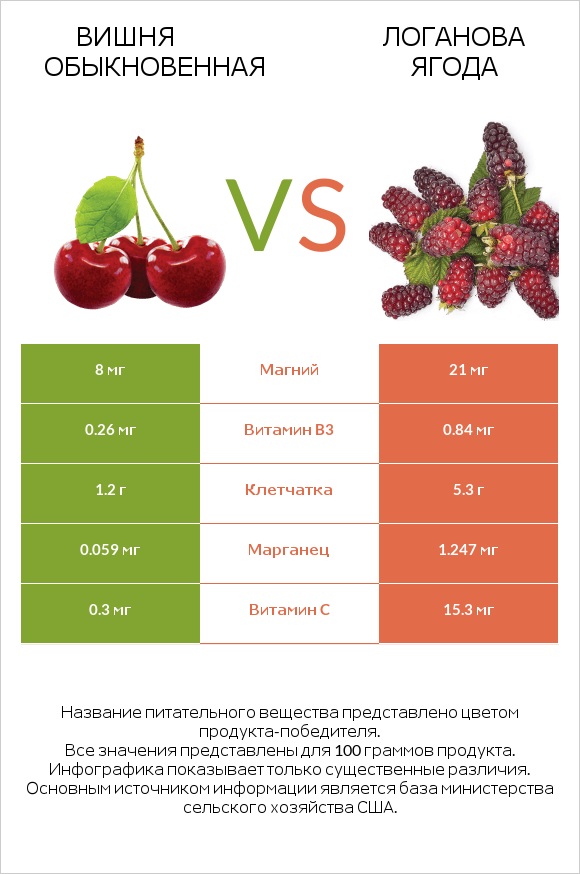 Вишня обыкновенная vs Логанова ягода infographic