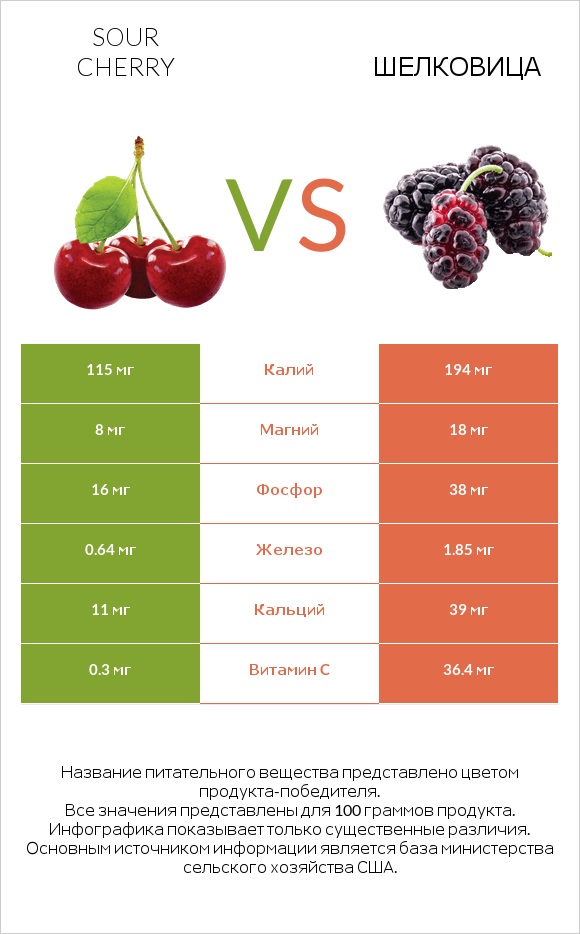 Sour cherry vs Шелковица infographic