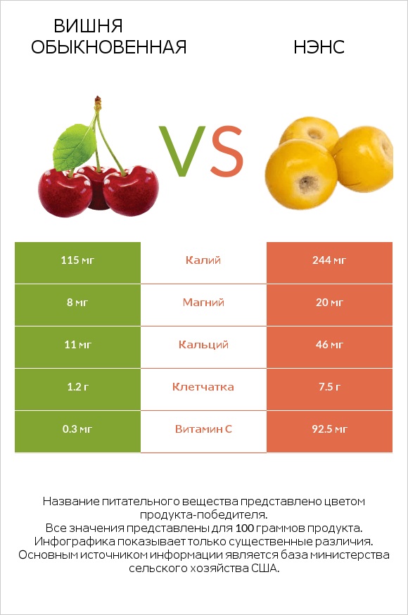 Вишня обыкновенная vs Нэнс infographic