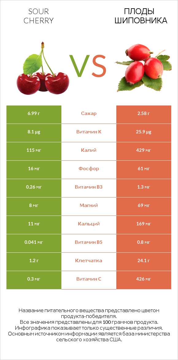 Sour cherry vs Плоды шиповника infographic
