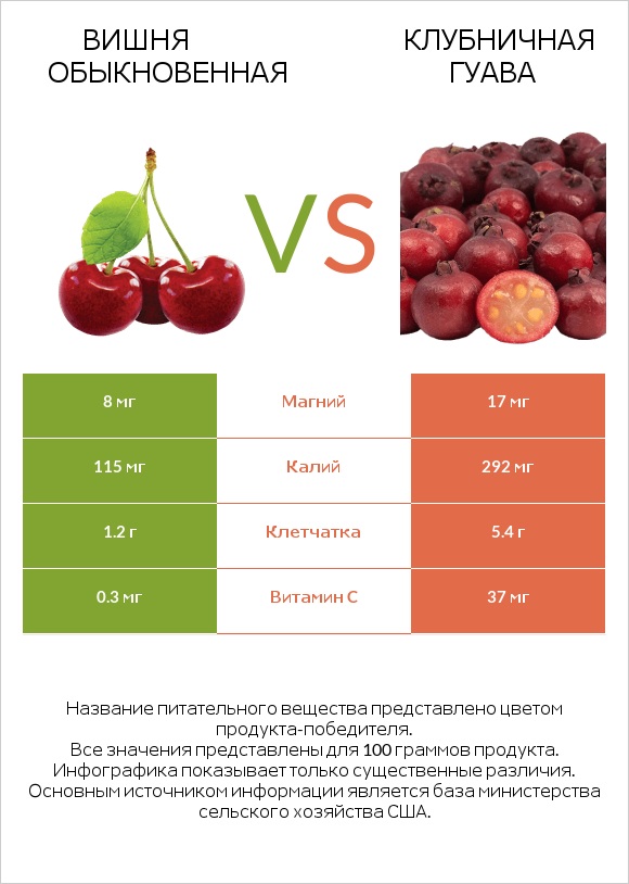 Вишня обыкновенная vs Клубничная гуава infographic