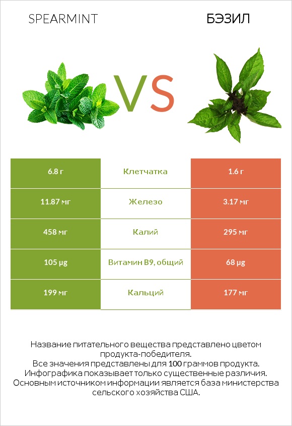 Spearmint vs Бэзил infographic
