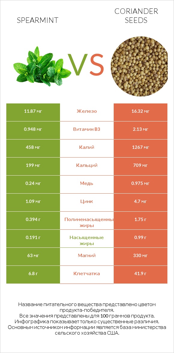 Spearmint vs Coriander seeds infographic