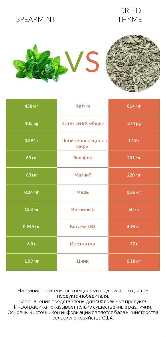 Spearmint vs Dried thyme infographic