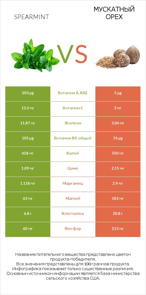 Spearmint vs Мускатный орех infographic