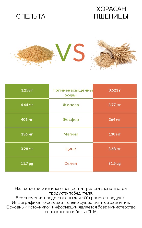 Спельта vs Хорасан пшеницы infographic