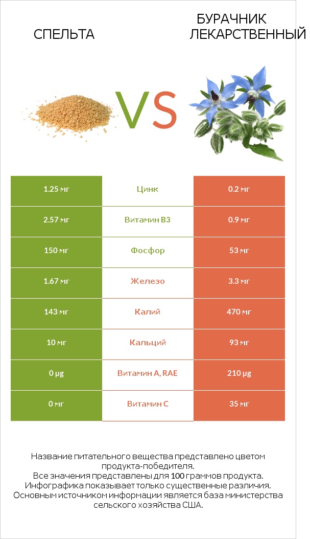 Спельта vs Бурачник лекарственный infographic