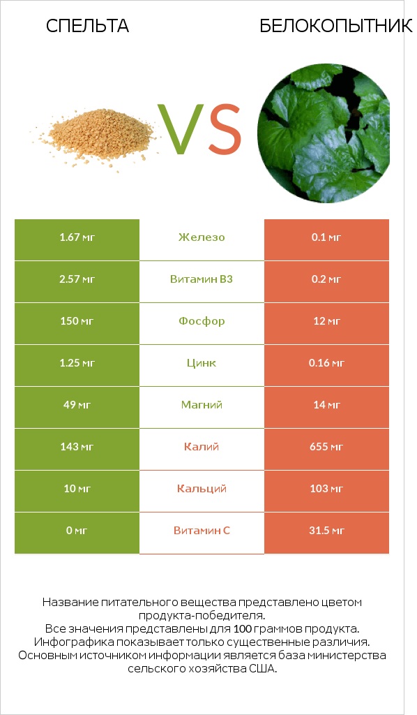 Спельта vs Белокопытник infographic