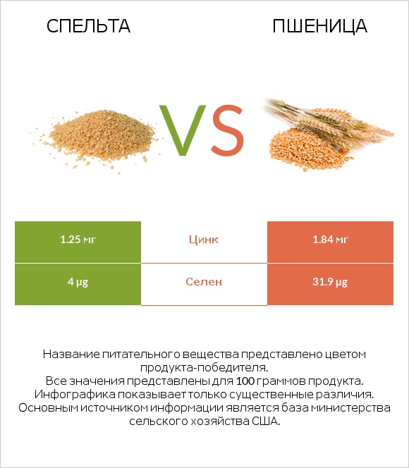 Спельта vs Пшеница infographic