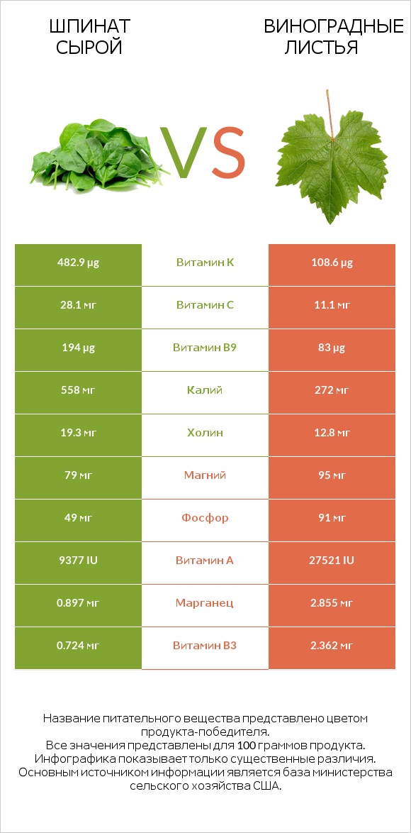Шпинат сырой vs Виноградные листья infographic