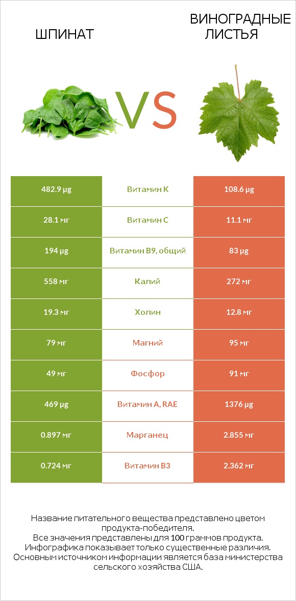 Шпинат vs Виноградные листья infographic