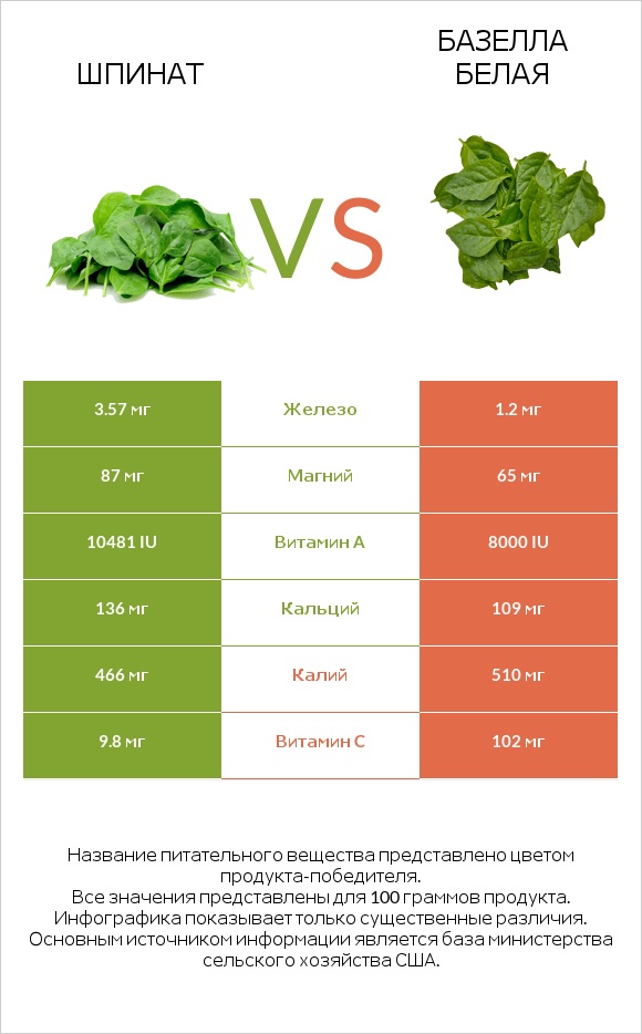 Шпинат vs Vine spinach (basella) infographic