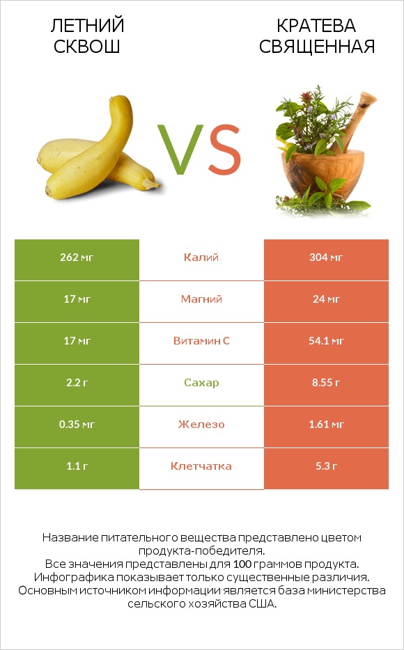 Летний сквош vs Кратева священная infographic