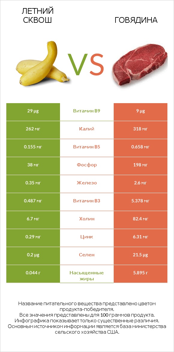 Летний сквош vs Говядина infographic