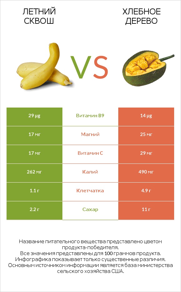 Летний сквош vs Хлебное дерево infographic