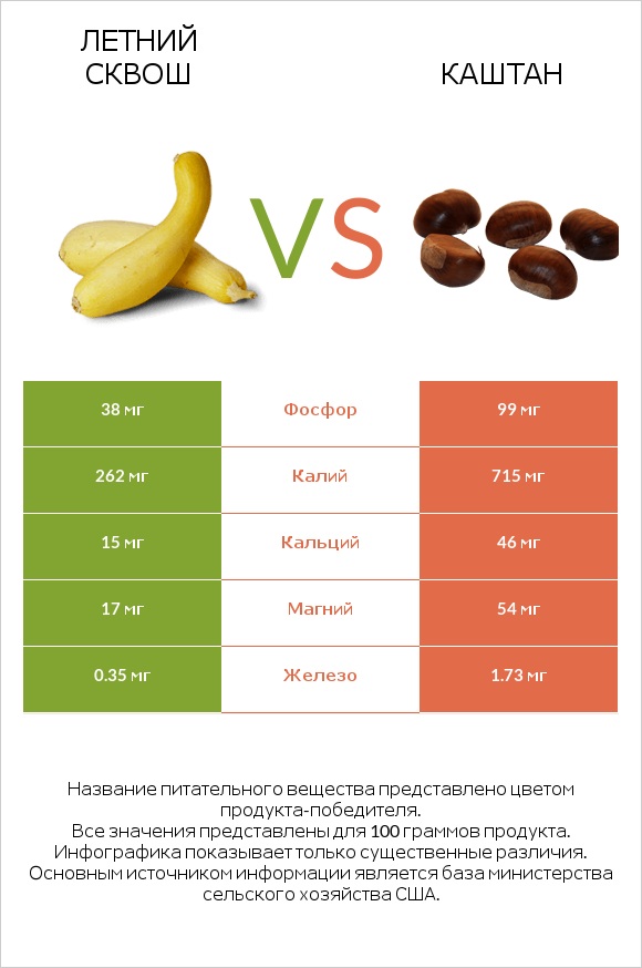 Летний сквош vs Каштан infographic