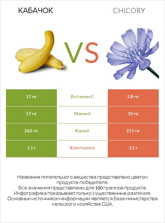 Кабачок vs Chicory infographic