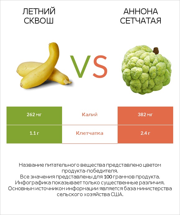 Летний сквош vs Аннона сетчатая infographic