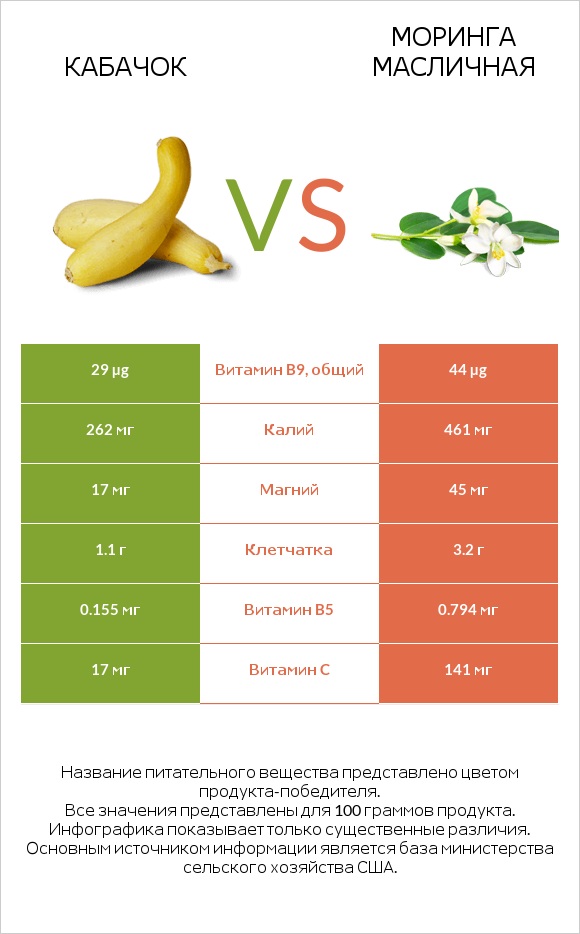 Кабачок vs Моринга масличная infographic