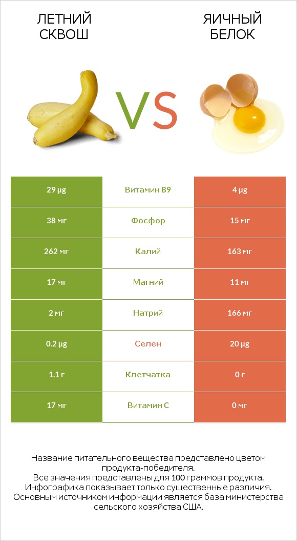 Летний сквош vs Яичный белок infographic