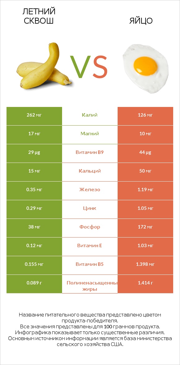 Летний сквош vs Яйцо infographic