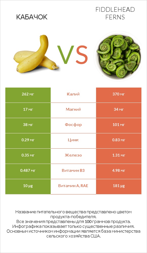 Кабачок vs Fiddlehead ferns infographic