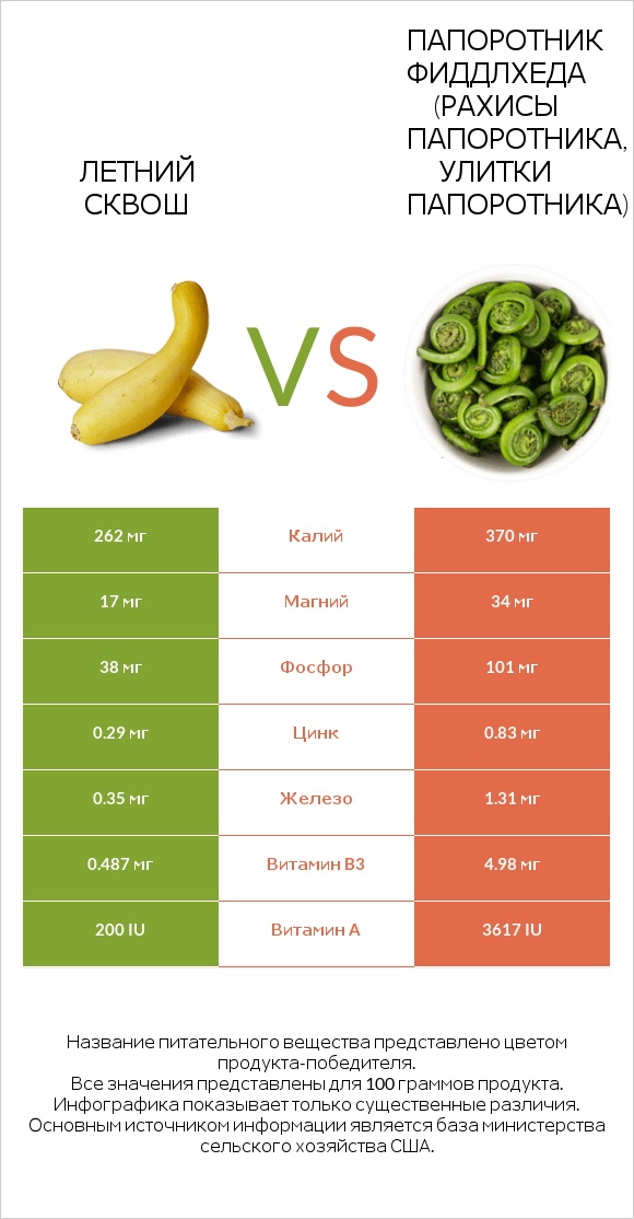 Летний сквош vs Папоротник Фиддлхеда (Рахисы папоротника, улитки папоротника) infographic