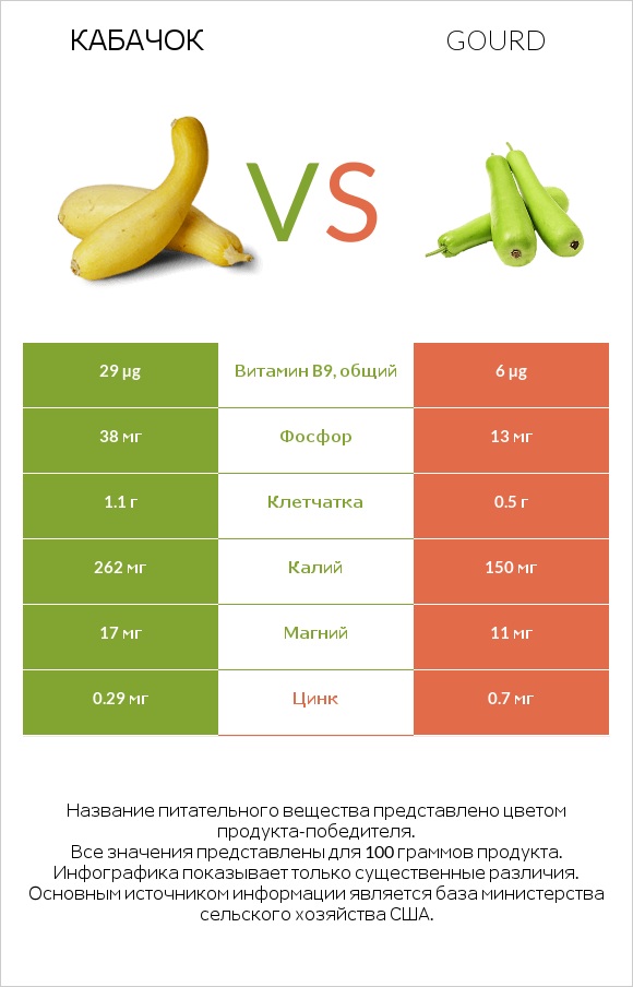 Летний сквош vs Gourd infographic