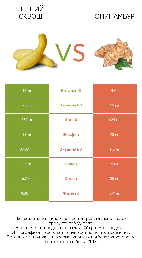 Летний сквош vs Топинамбур infographic