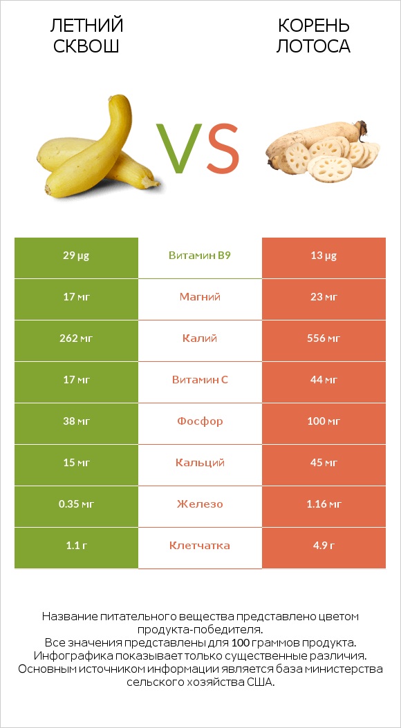 Кабачок vs Lotus root infographic