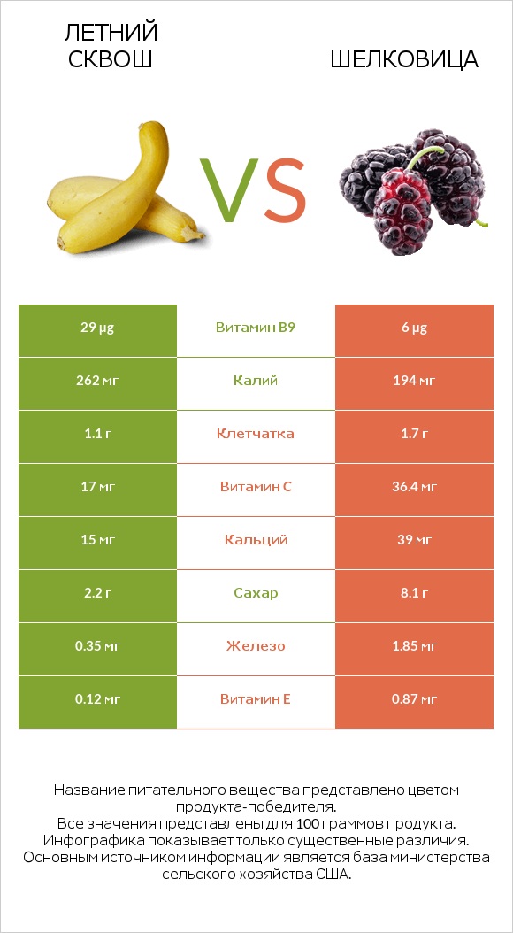 Летний сквош vs Шелковица infographic