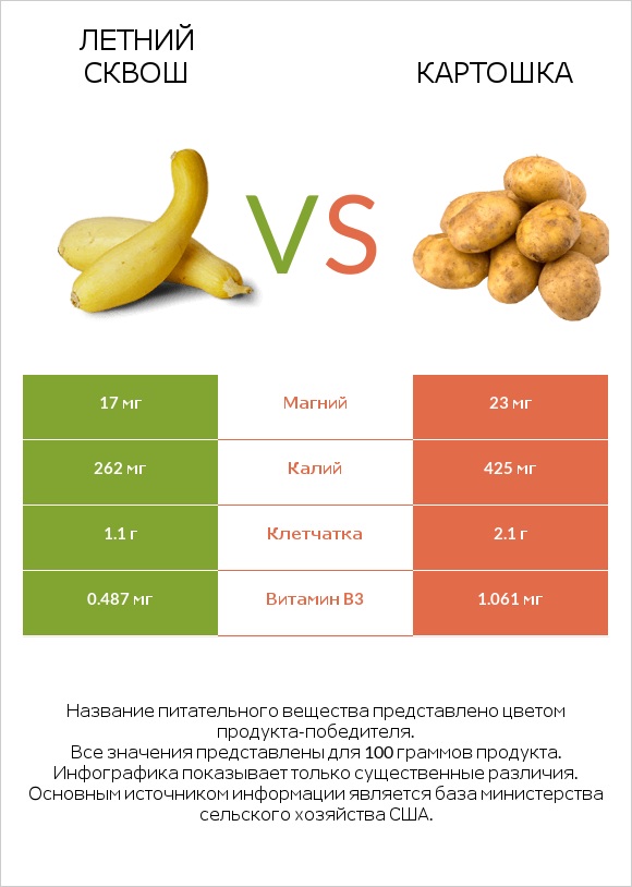 Летний сквош vs Картошка infographic