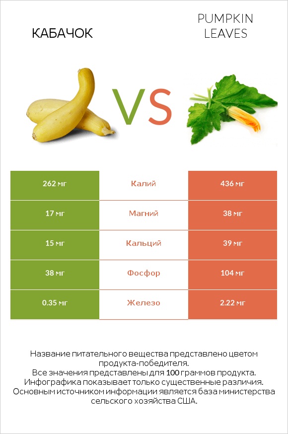 Кабачок vs Pumpkin leaves infographic