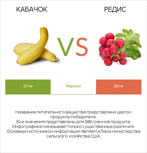 Кабачок vs Редис infographic