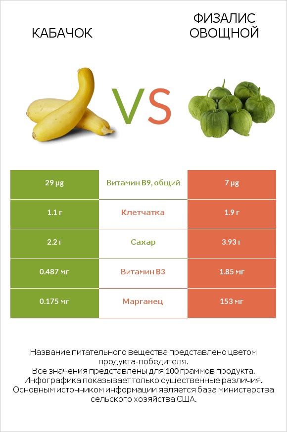 Кабачок vs Физалис овощной infographic