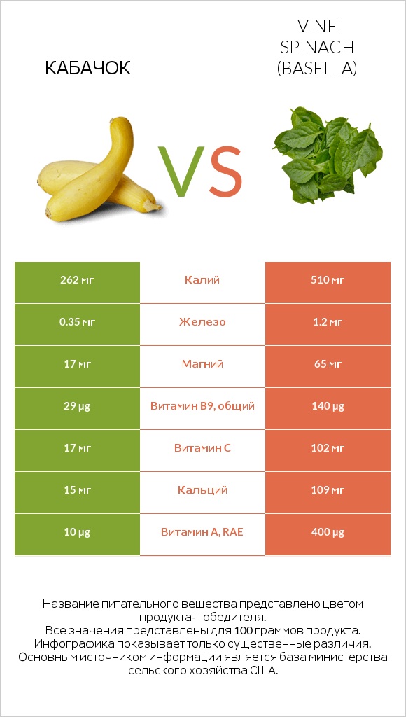 Кабачок vs Vine spinach (basella) infographic