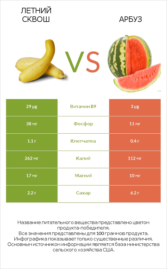 Летний сквош vs Арбуз infographic