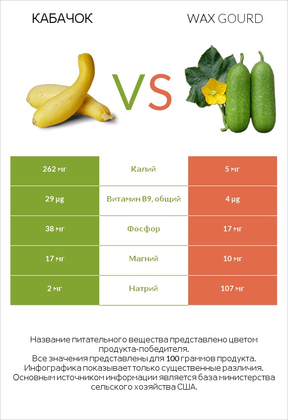 Кабачок vs Wax gourd infographic