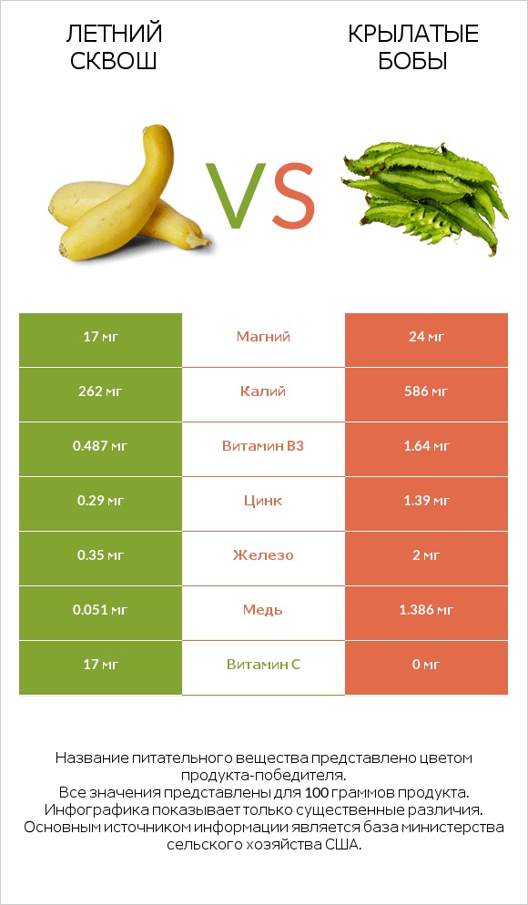 Летний сквош vs Крылатые бобы infographic