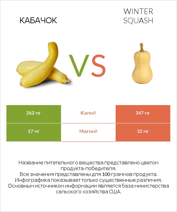 Кабачок vs Winter squash infographic