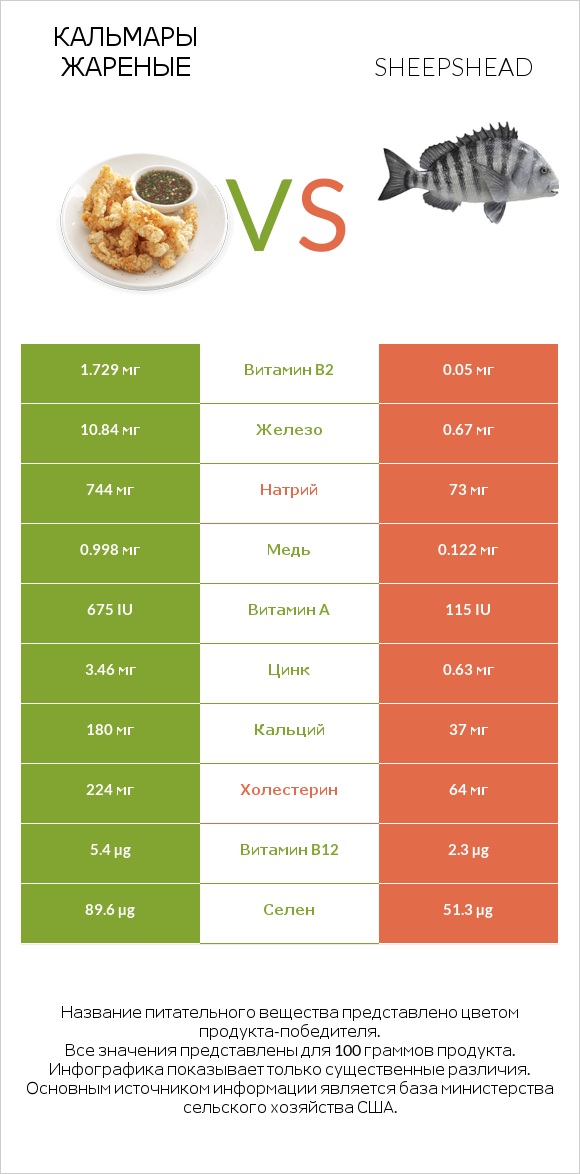 Кальмары жареные vs Sheepshead infographic