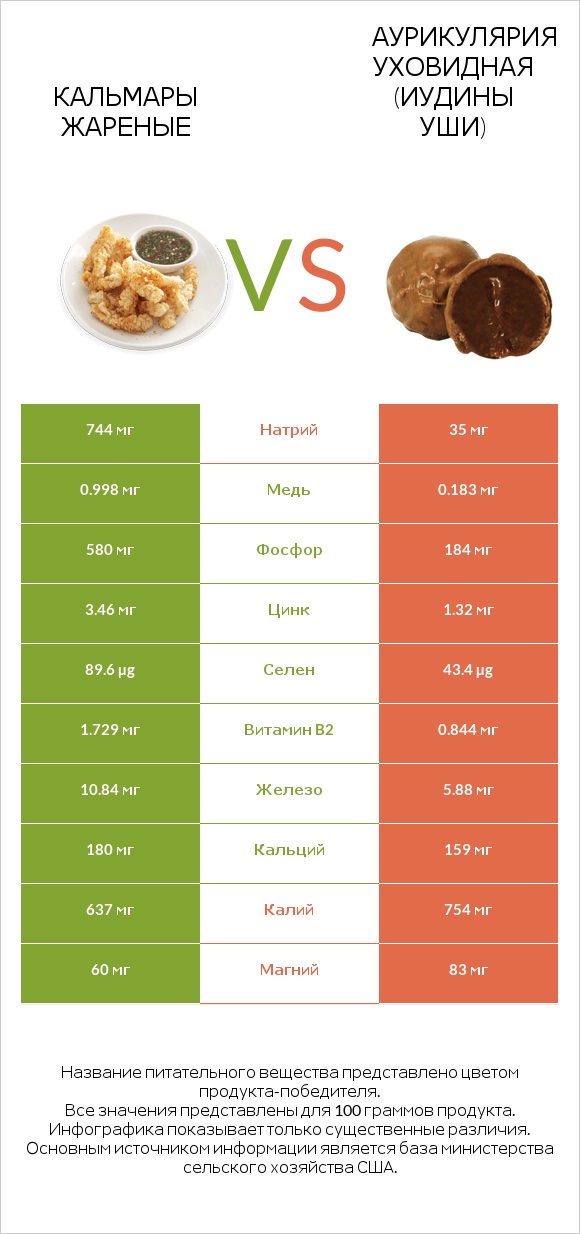 Кальмары жареные vs Аурикулярия уховидная (Иудины уши) infographic