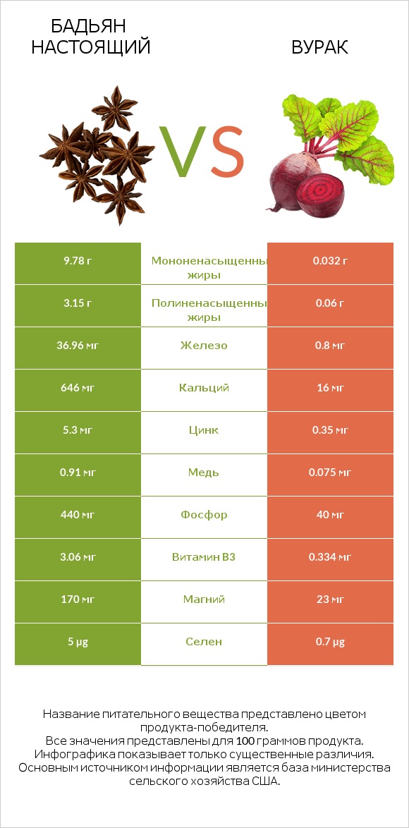 Бадьян настоящий vs Свёкла обыкновенная infographic