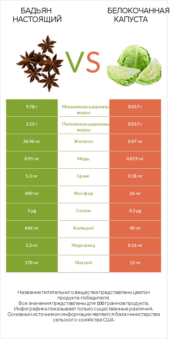 Бадьян настоящий vs Белокочанная капуста infographic