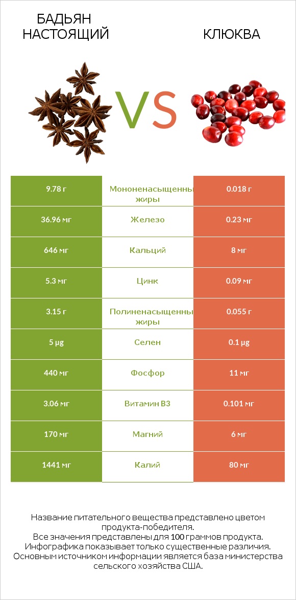 Бадьян настоящий vs Клюква infographic