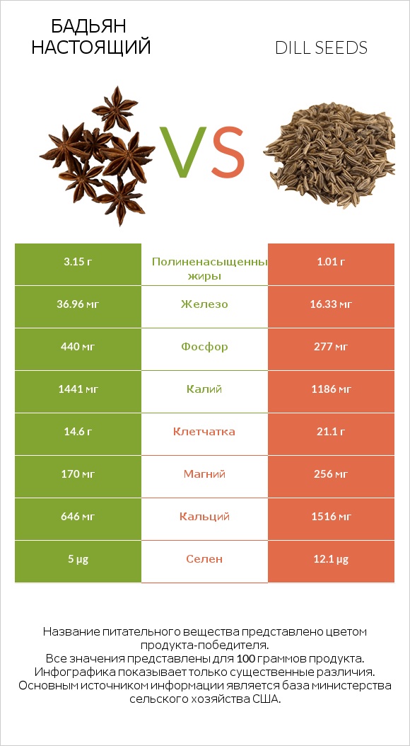 Бадьян настоящий vs Dill seeds infographic
